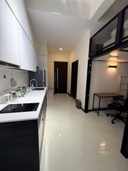 Sims Urban Oasis (D14), Condominium #637396261